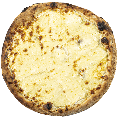 MOTIRON BASE CRÈME